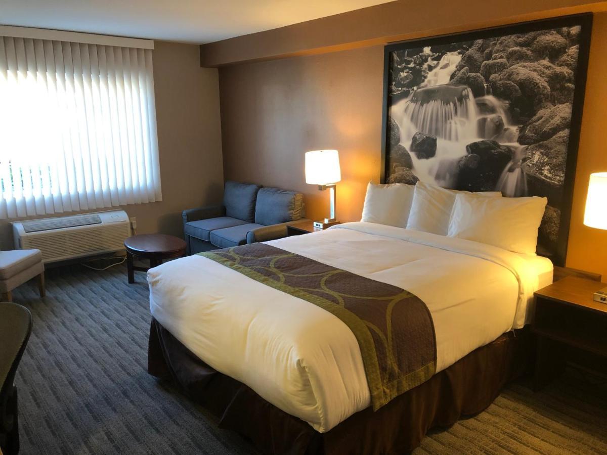 Motel Super 8 By Wyndham Lynnwood Zewnętrze zdjęcie